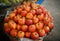 Kashmiri apple in the streets of karnataka ready for sale