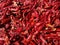 Kashmiri red chilli drying in sunlight