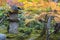 Kasuga doro or stone lantern in Japanese maple garden during autumn at Enkoji temple, Kyoto, Japan