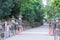 Kasuga Taisha Shrine Kasuga Grand Shrine in Nara, Japan. It is part of UNESCO World Heritage Site -