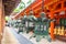 Kasuga Taisha Shrine Lanterns