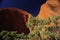 Kata Tjuta - The Olga\'s