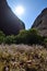 Kata Tjuta rock formation of Central Australia