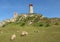 Katahdin sheep (Ovis aries) grazing in a beautiful field with the Olsztyn castle in the background