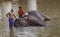 Kataragama, Sri Lanka - 29109-03-29 - Elephant gets bath in river