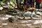 Katchikally Crocodile Pool in Gambia