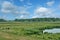 Katinger Watt,Nature Reserve,North Frisia,Germany