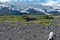 Katmai National Park in Alaska, scenery of rocks, lichen and driftwood with large glacier mountains