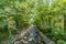 Katsura bridge over Kitamata River Bamboo Forest Path known as `Narrow path`