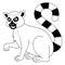 Katta Animal Coloring Page for Kids