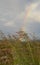 KaunispÃ¤Ã¤ SaariselkÃ¤ Finland. After the thunder, the sun shines again and a rainbow appears against the dark sky.