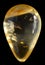 Kauri gum, carved tear, amber from old kauri trees, New Zealand gold