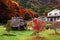 Kawaguchiko maple corridor at fall