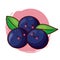 Kawaii blueberries character