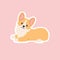 Kawaii breed corgi welsh sticker, lying happy little doggy
