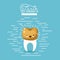 Kawaii caricature tooth with golden crown dental care with wink eye and happiness expression on color poster with lines