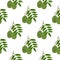 Kawaii Cartoon Ambarella Fruit. Seamless Patterns