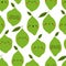 Kawaii Cartoon Lime. Colored Patterns