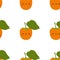 Kawaii Cartoon Persimmon. Seamless Patterns