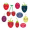 Kawaii Cherry Strawberry Raspberry Blackberry Blueberry Cranberry Cowberry Goji Grape Fresh juicy berries on white background.