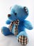 Kawaii collection Blue teddy bear plush figure