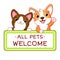 Kawaii corgi puppy and kitty with pet friendly vector label