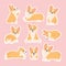 Kawaii corgi stickers set, happy little fun dog pets