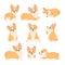 Kawaii corgi stickers set, happy little fun pets