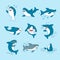 Kawaii Sharks Collection. Funny Cute Fish Cartoon Character Set for Nursery Kid Design, Decoration. Marine Creatures