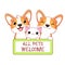 Kawaii two corgi puppies and kitty with pet friendly vector label