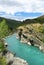 Kawarau river and forest New Zealand