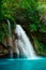 Kawasan waterfall in a mountain gorge in the tropical jungle of the Philippines, Cebu