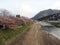 Kawazu Cherry Blossom, River side - Image