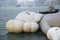 Kaws sleeping on sea in Hong Kong Focus