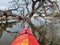 Kayak and fallen cottonwood tree