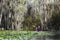 Kayak paddling in the Okefenokee Swamp