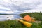 Kayak and tent by the lake grey