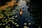 A kayaker explores Rayongs serene lotus lake in a botanical garden