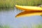 Kayaker in the marsh