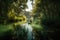 kayaker paddles through tranquil lake, surrounded by lush greenery