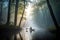 kayaker paddling through misty morning forest