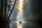 kayaker paddling through misty morning forest