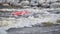 Kayaker surfing wave in Poudre River Whitewater Park