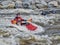 Kayaker surfing wave in Poudre River Whitewater Park