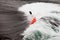 Kayaker in white water paddling breaking waves