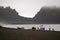 Kayakers on the beach on Deception Island, Antarctica