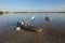 Kayakers in Bear Cut off Key Biscayne, Florida.