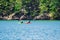 Kayakers on Carvins Cove Natural Reserve