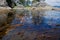 Kayakers and giant kelp near Thomas Island