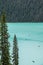 Kayakers on Lake Louise backdropped by a forest of giant fir tre